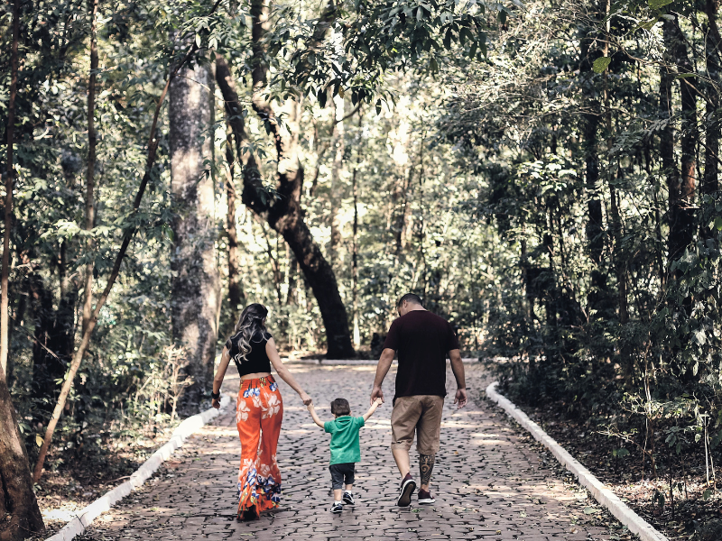 Achieving peace of mind by learning to set up a will.